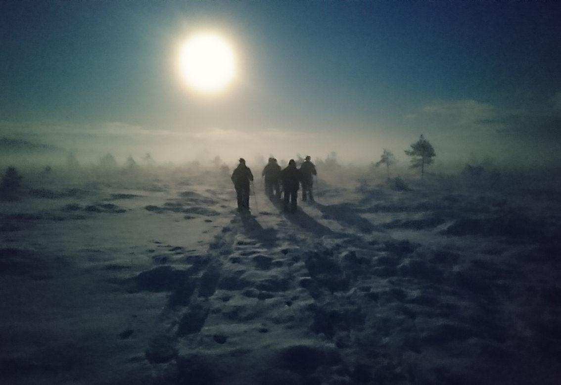 Ryhmä lumikenkäilijöitä talvisessa suomaisemassa kuutamon valossa.